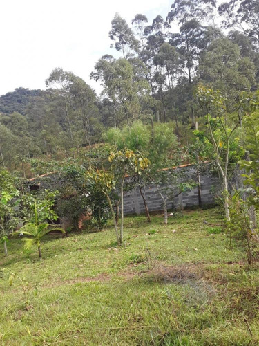 Imagem 23 de 23 de Terreno 1.600m² - Chácaras Monte Verde - São Roque Sp - Tr141053v