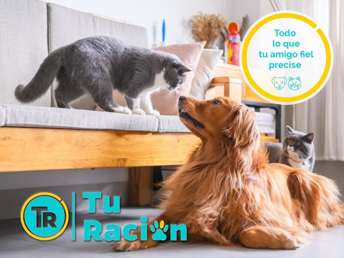 Imagen 5 de 5 de Ración Whiskas Gatitos Kitten + Obsequio