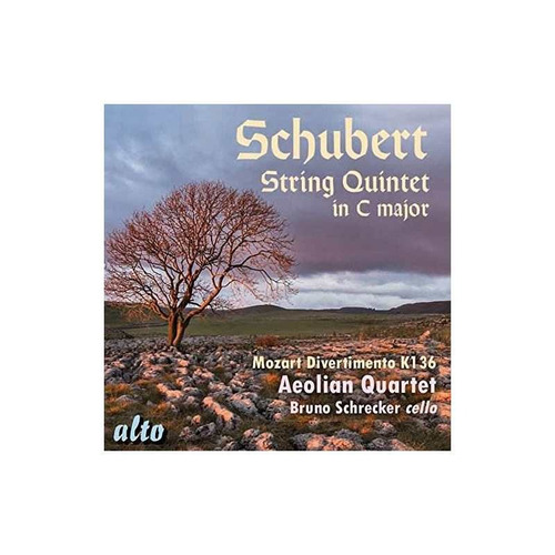 Schubert/mozart/aeolian Quartet/schrecker String Quintet In 
