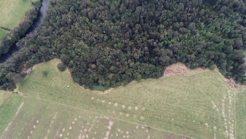 Precioso Terreno A Orillas Del Río Maullín
