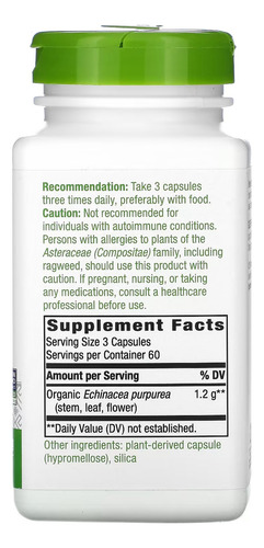 Echinacea Purpurea 1.200 Mg Dose 180 Caps - Nature's Way Eua