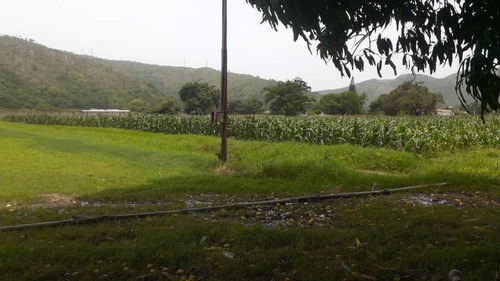 Imagen 5 de 18 de Se Vende Parcela-guayabita- Turmero.