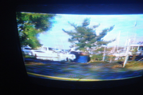 Vhs Flores Rotas (sin Caja Original) (Usado)
