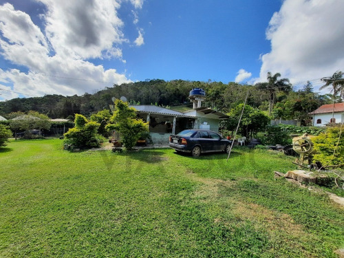 Imagem 18 de 30 de (24.000 M²) Belo Sitio À Venda Em Juquitiba/sp, Com Lago, Piscina, Salão De Festas E Trilhas Para Caminhar E Contemplar A Natureza. - 89 - 70390936