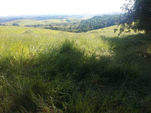 Imagem 15 de 29 de Fazenda De Gado Com 263 Hectares Itajuba - 36525