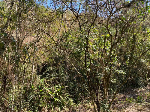 Imagem 1 de 14 de 7a Igaratá Terrenos
