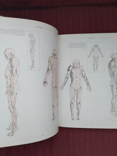 Libro Anatomía, Perspectiva Y Composición Para El Artista (Usado)