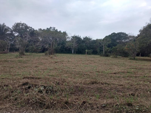 Vendo Terreno 2412 M² Isla De Juana Moza Tuxpan Veracruz