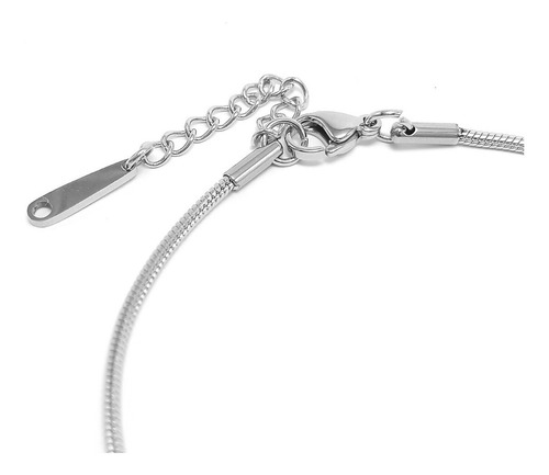 Imagen 7 de 10 de Pulsera De Tobillo Pie Mujer De Acero Panza De Víbora Plata