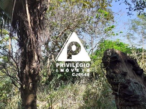 Imagem 6 de 12 de Lote À Venda, Jardim Botânico - Rio De Janeiro/rj - 27136