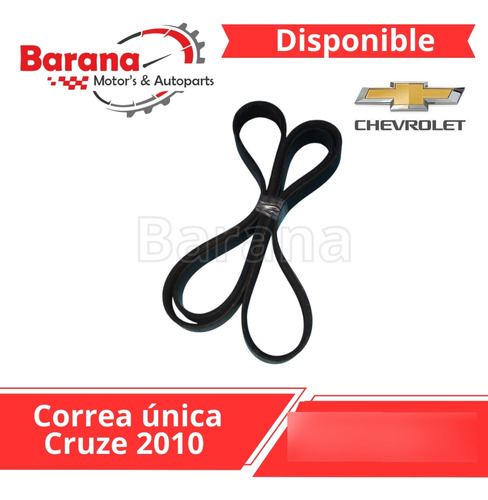 Correa Unica Cruze 2010