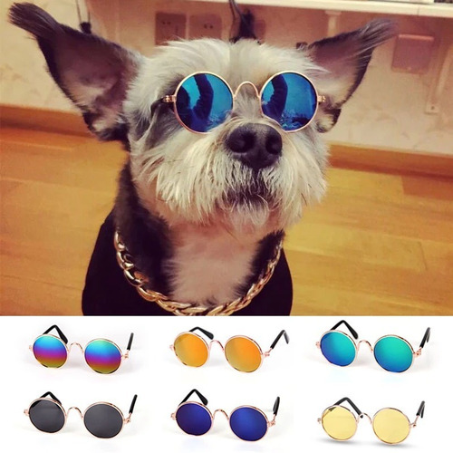 Lentes De Sol Para Perritos Y/o Gatitos, Razas Pequeñas 