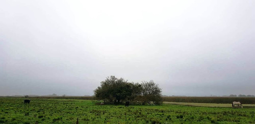 Imagen 21 de 21 de Campo En General Madariaga-