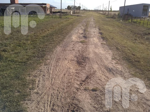 Imagen 7 de 11 de Venta Terreno -arana