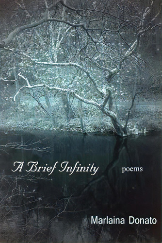 A Brief Infinity: Poems, De Donato, Marlaina. Editorial Createspace, Tapa Blanda En Inglés