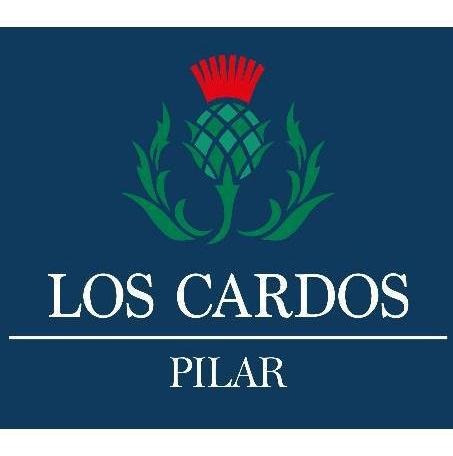 Imagen 7 de 7 de Terreno En Pozo- Los Cardos Pilar