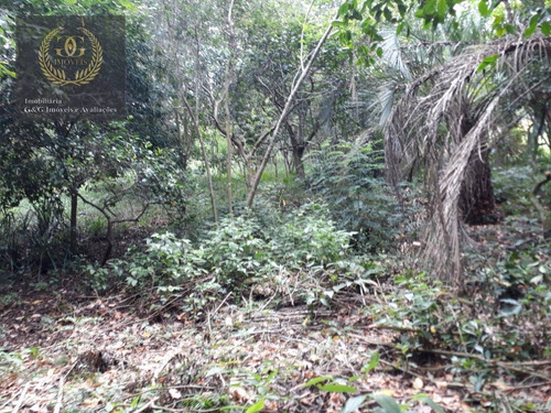 Imagem 6 de 12 de Terreno À Venda, 3283 M² Por R$ 160.000,00 - Planalto - Viamão/rs - Te0143