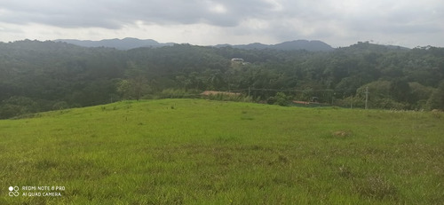 Imagem 11 de 17 de 10. Lotes A Venda (800m²) , Agende Já Uma Visita