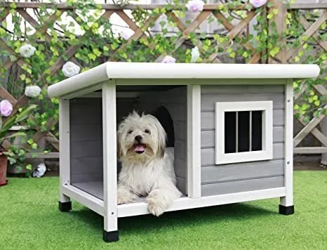 Casa De Perro, Casa De Mascota,
