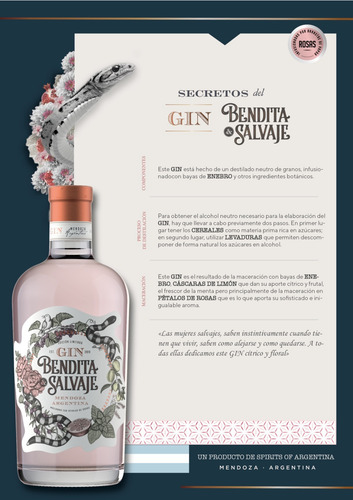 Combo Gin Bendita & Salvaje + Gin Curve 750cc + 2 Botanicos