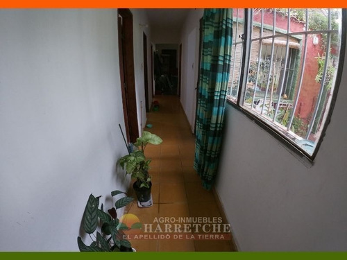 Venta De Chacra 1.8 Has En El Colorado, Canelones