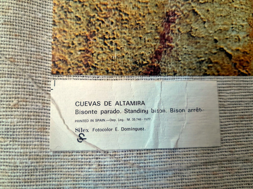 Pintura De Cuevas De Altamira Sobre Lienzo Arte Rupestre (Usado)