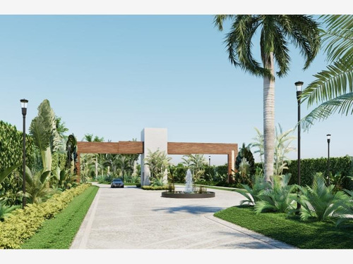 Imagen 3 de 4 de Terreno En Venta Palmarena