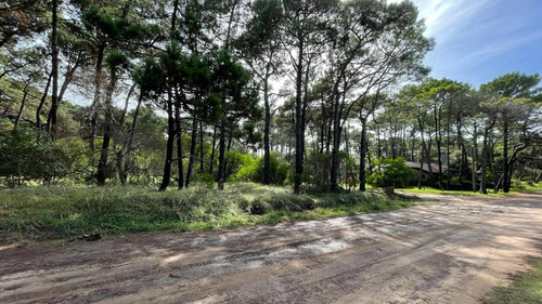 Imagen 14 de 16 de Lote Venta Z/ Norte Pinamar - Lote 11