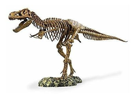 Edu-juguetes T-rex Esqueleto 36  Escala Réplica Modelo | Mon