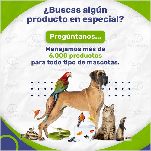 Imagen 7 de 9 de Kit Tortuguero Equipado | Pecera Rectangular | Tortugas