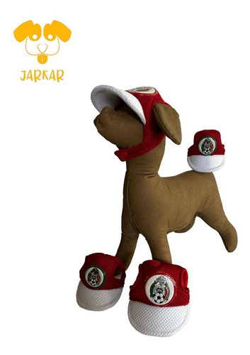 Gorra Selección Nacional En Tela Para Mascotas Talla 4 O 5