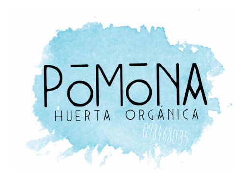 Semillas Envío Gratis 15 Variedades Huerta Organica