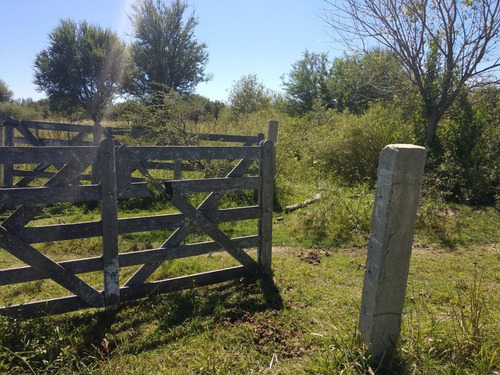 Imagen 2 de 7 de Campo - Lote Turistico - Santa Rosa De Conlara , San Luis
