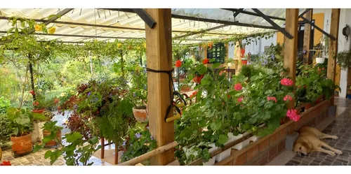 Se Vende Finca Circasia Quindío
