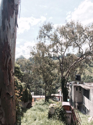 Venta De Terreno Habitacional En Colonia Las Águilas Alcaldía Álvaro Obregón