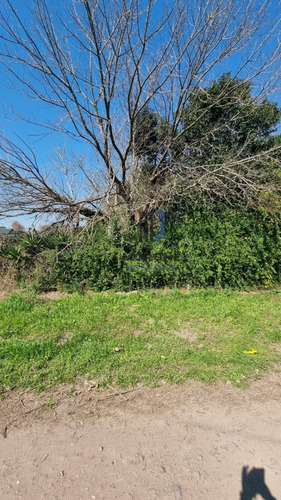 Lote En Venta En Burzaco