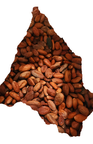 Cacao De Calidad