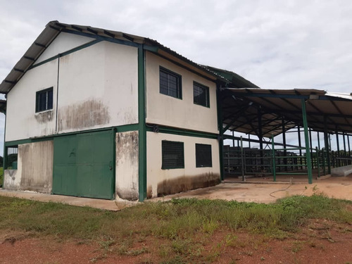 Imagen 3 de 19 de Finca Totalmente Equipada En Cojedes