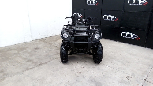 Imagen 2 de 15 de Kawasaki Brute Force 300