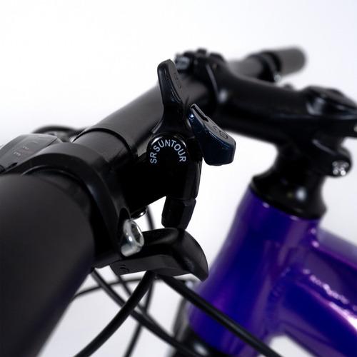 Bicicleta Rava Pressure Plus Tapered Sr Xcm 30 Shimano 21v Cor Roxo Tamanho Do Quadro 17