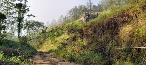 Imagem 5 de 5 de Lote Pra Chacara Com 1 Alqueire