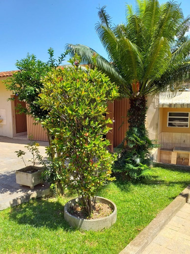 Imagem 19 de 30 de Chácara À Venda Em Mairiporã Sp - 0198 - 34968779
