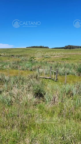 Venta Chacra Jose Ignacio Con Costa Arroyo Anastasio