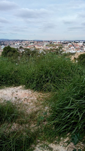 Imagem 9 de 9 de Terreno Em Contagem - Mg - Te0058_realle