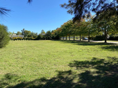 Imagen 3 de 30 de Venta De Terreno La Concepcion- Lujan