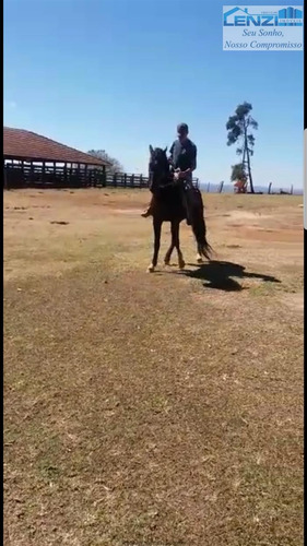 Imagem 13 de 15 de Fazendas À Venda Em Presidente Olegario/mg - Compre O Seu Fazendas Aqui! - 1430789
