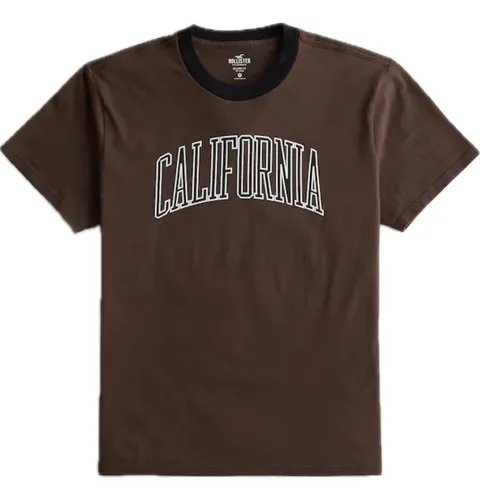 Hollister remeras hombre sale