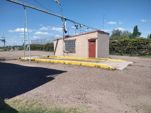 Imagen 3 de 10 de Bodega En Palmira