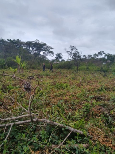 Imagem 7 de 9 de Lote Na Praia 25 Mil De Entrada Em Itanhaém. 6767e