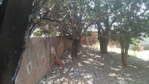 Imagem 3 de 6 de Apartamento Em Anápolis - Go - Te0519_ob